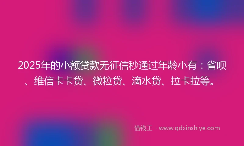 2025年的小额贷款无征信秒通过年龄小有：省呗、维信卡卡贷、微粒贷、滴水贷、拉卡拉等。