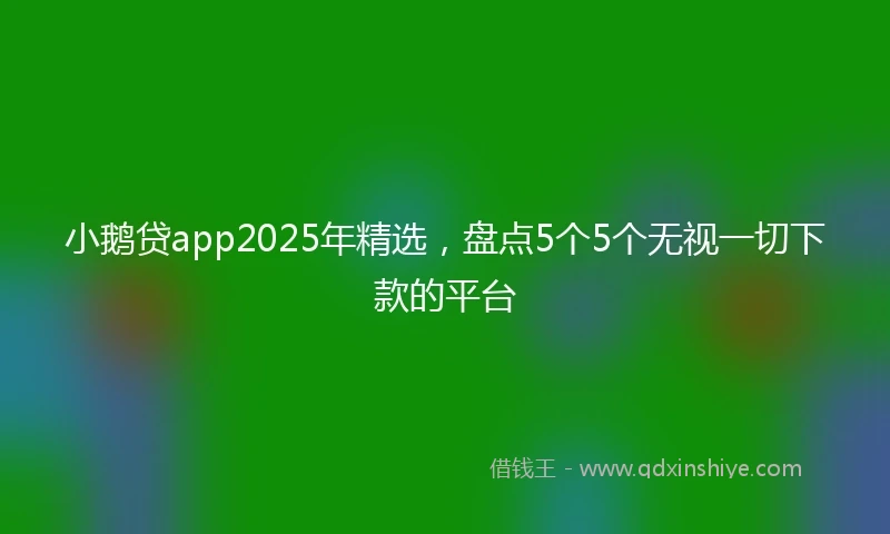小鹅贷app2025年精选，盘点5个5个无视一切下款的平台