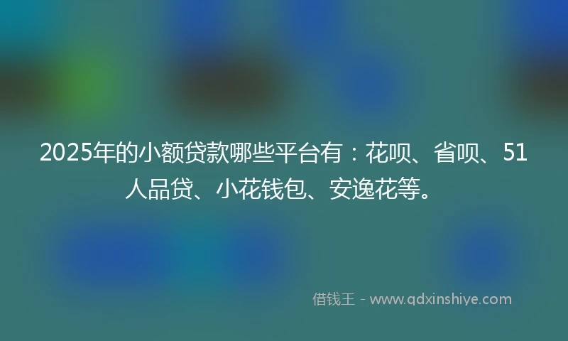 2025年的小额贷款哪些平台有：花呗、省呗、51人品贷、小花钱包、安逸花等。