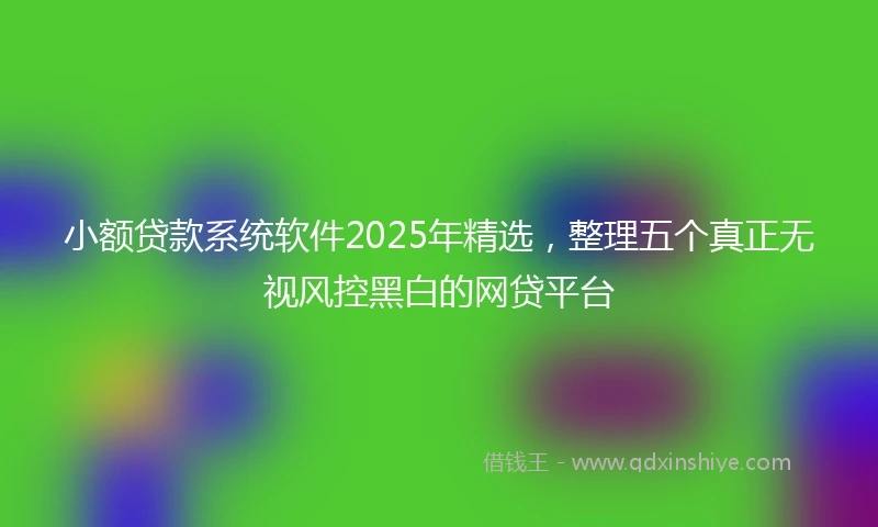 小额贷款系统软件2025年精选，整理五个真正无视风控黑白的网贷平台