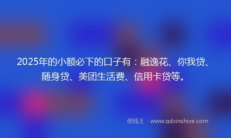 2025年的小额必下的口子有：融逸花、你我贷、随身贷、美团生活费、信用卡贷等。