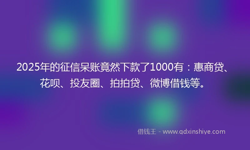 2025年的征信呆账竟然下款了1000有：惠商贷、花呗、投友圈、拍拍贷、微博借钱等。