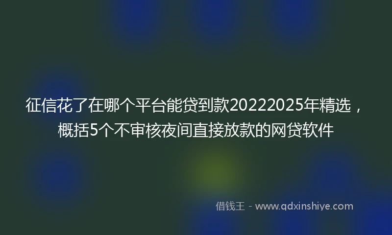 征信花了在哪个平台能贷到款20222025年精选，概括5个不审核夜间直接放款的网贷软件