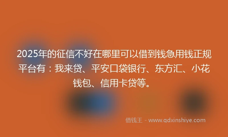 2025年的征信不好在哪里可以借到钱急用钱正规平台有：我来贷、平安口袋银行、东方汇、小花钱包、信用卡贷等。
