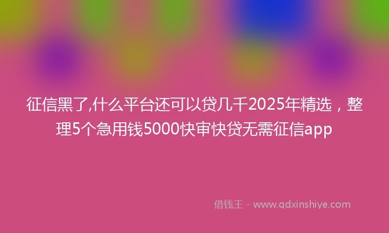 征信黑了,什么平台还可以贷几千2025年精选，整理5个急用钱5000快审快贷无需征信app