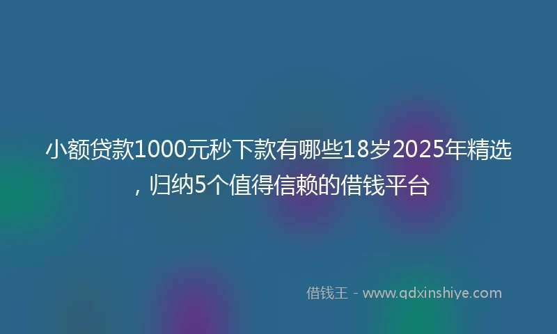 小额贷款1000元秒下款有哪些18岁2025年精选，归纳5个值得信赖的借钱平台
