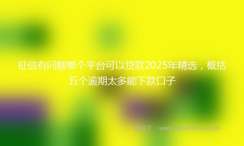 征信有问题哪个平台可以贷款2025年精选，概括五个逾期太多能下款口子
