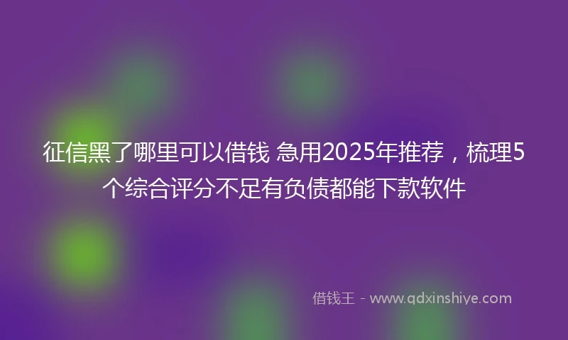 征信黑了哪里可以借钱 急用2025年推荐，梳理5个综合评分不足有负债都能下款软件