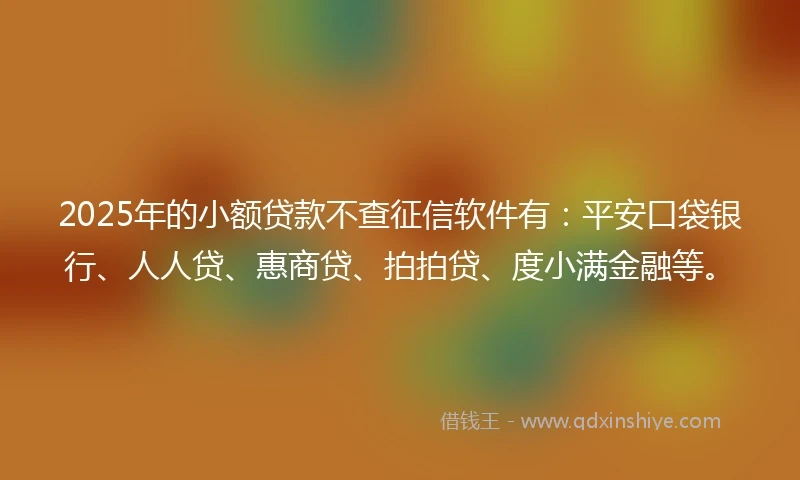 2025年的小额贷款不查征信软件有：平安口袋银行、人人贷、惠商贷、拍拍贷、度小满金融等。