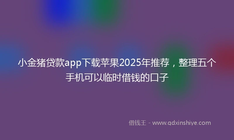 小金猪贷款app下载苹果2025年推荐，整理五个手机可以临时借钱的口子