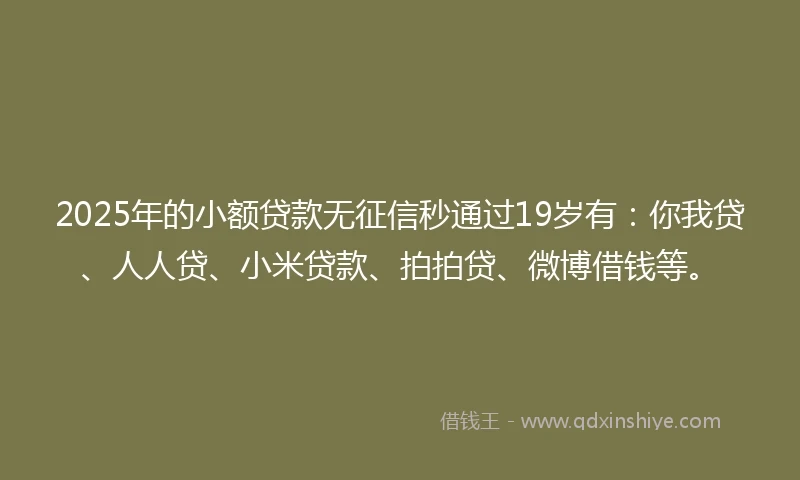 2025年的小额贷款无征信秒通过19岁有：你我贷、人人贷、小米贷款、拍拍贷、微博借钱等。