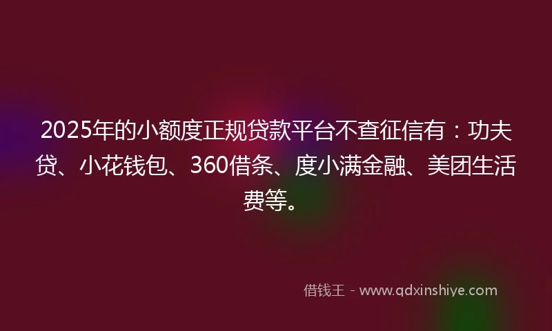 2025年的小额度正规贷款平台不查征信有：功夫贷、小花钱包、360借条、度小满金融、美团生活费等。