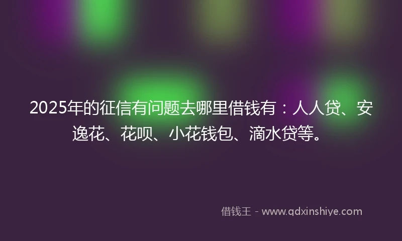 2025年的征信有问题去哪里借钱有：人人贷、安逸花、花呗、小花钱包、滴水贷等。