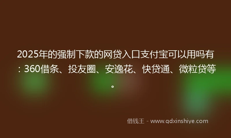 2025年的强制下款的网贷入口支付宝可以用吗有：360借条、投友圈、安逸花、快贷通、微粒贷等。