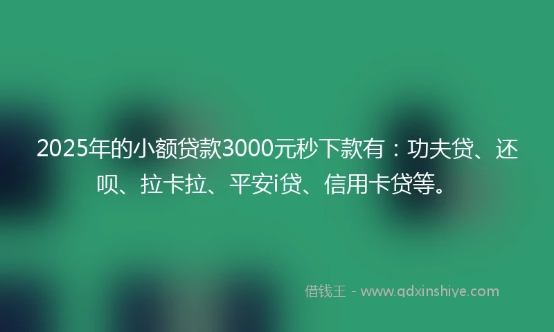 2025年的小额贷款3000元秒下款有：功夫贷、还呗、拉卡拉、平安i贷、信用卡贷等。