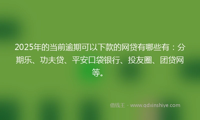 2025年的当前逾期可以下款的网贷有哪些有：分期乐、功夫贷、平安口袋银行、投友圈、团贷网等。