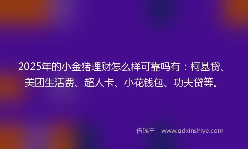 2025年的小金猪理财怎么样可靠吗有：柯基贷、美团生活费、超人卡、小花钱包、功夫贷等。