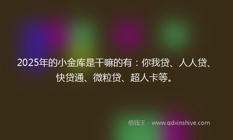 2025年的小金库是干嘛的有：你我贷、人人贷、快贷通、微粒贷、超人卡等。