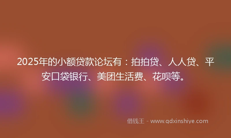 2025年的小额贷款论坛有：拍拍贷、人人贷、平安口袋银行、美团生活费、花呗等。