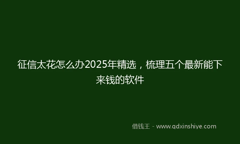 征信太花怎么办2025年精选，梳理五个最新能下来钱的软件