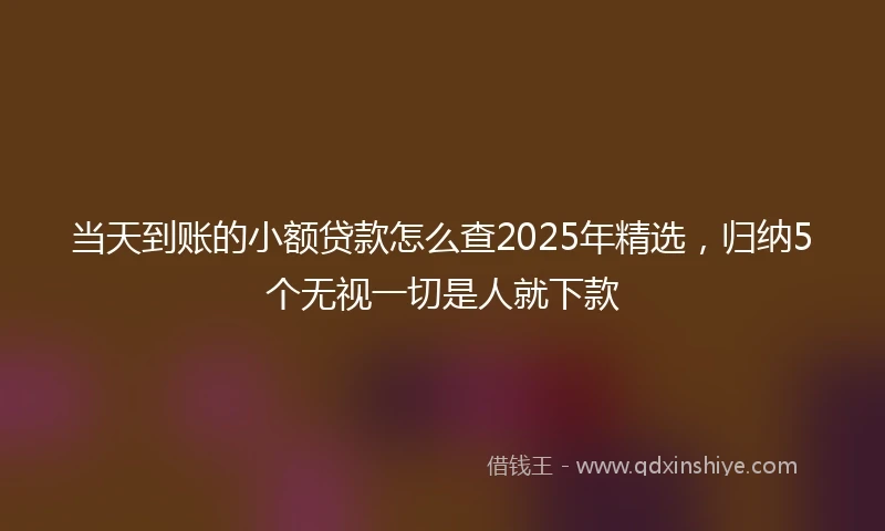 当天到账的小额贷款怎么查2025年精选，归纳5个无视一切是人就下款