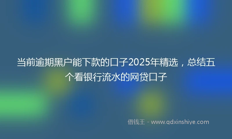 当前逾期黑户能下款的口子2025年精选，总结五个看银行流水的网贷口子