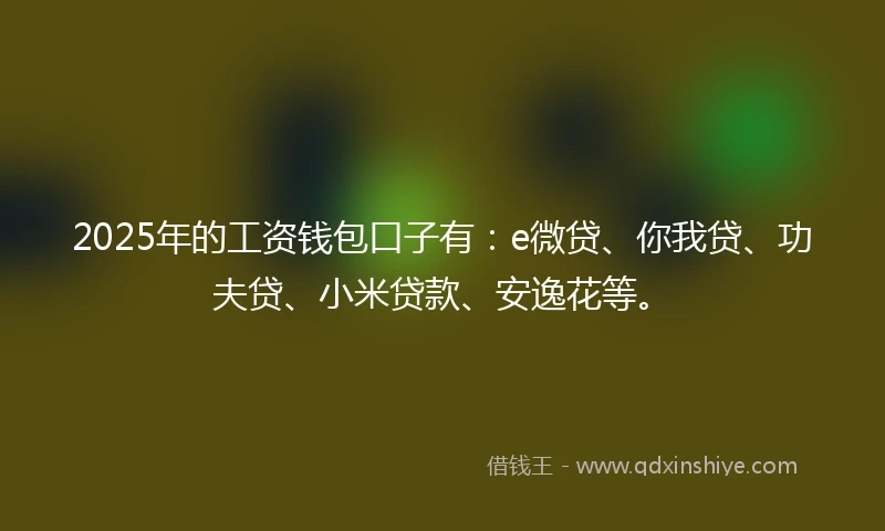 2025年的工资钱包口子有:e微贷、你我贷、功夫贷、小米贷款、安逸花等。