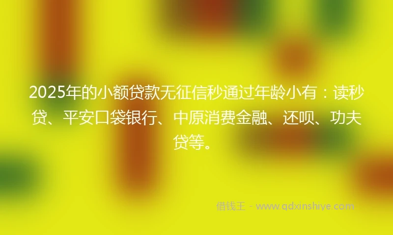 2025年的小额贷款无征信秒通过年龄小有：读秒贷、平安口袋银行、中原消费金融、还呗、功夫贷等。
