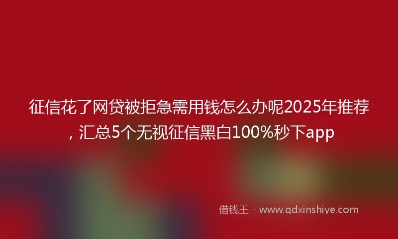 征信花了网贷被拒急需用钱怎么办呢2025年推荐，汇总5个无视征信黑白100%秒下app