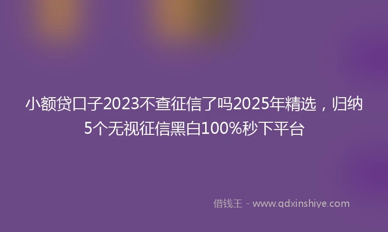 小额贷口子2023不查征信了吗2025年精选，归纳5个无视征信黑白100%秒下平台