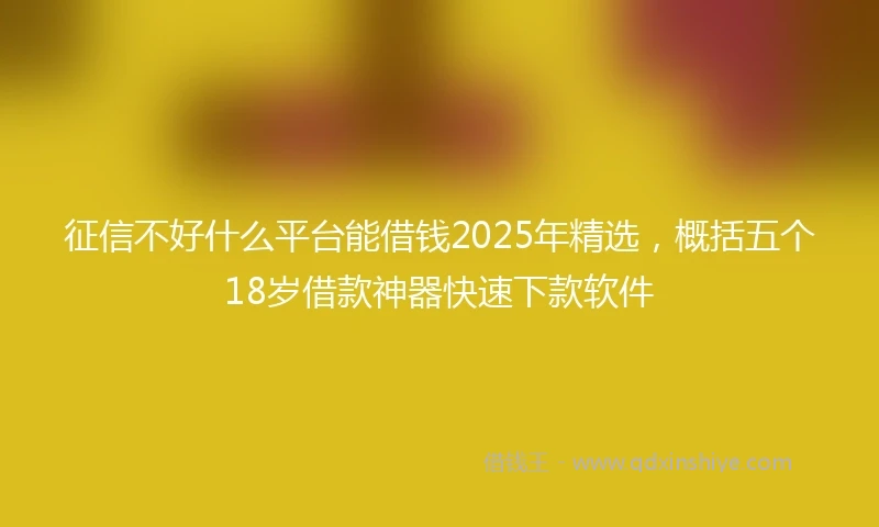 征信不好什么平台能借钱2025年精选，概括五个18岁借款神器快速下款软件