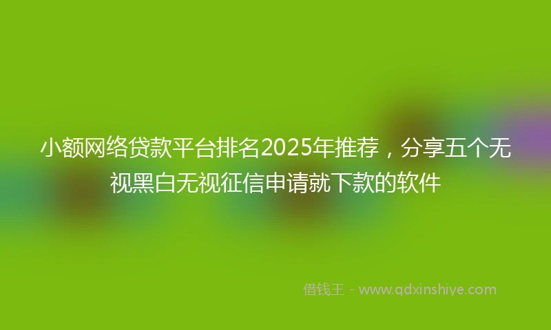 小额网络贷款平台排名2025年推荐，分享五个无视黑白无视征信申请就下款的软件