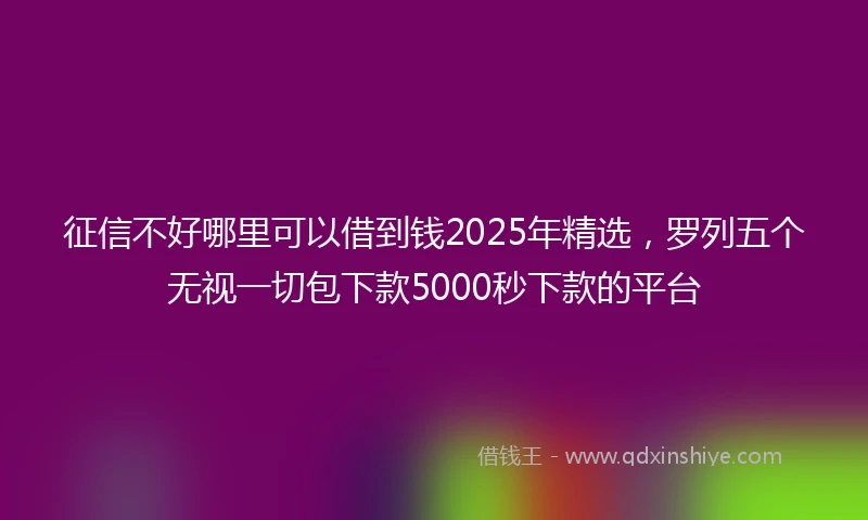 征信不好哪里可以借到钱2025年精选，罗列五个无视一切包下款5000秒下款的平台