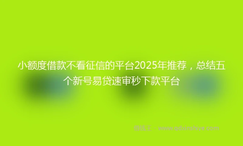 小额度借款不看征信的平台2025年推荐，总结五个新号易贷速审秒下款平台
