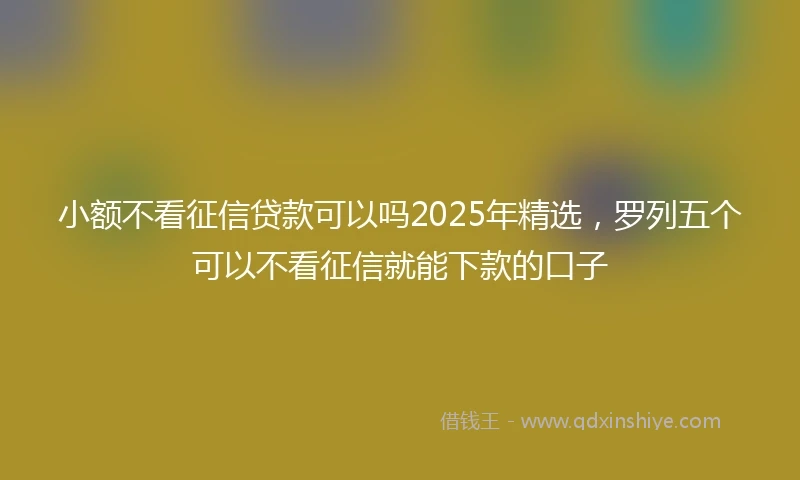 小额不看征信贷款可以吗2025年精选，罗列五个可以不看征信就能下款的口子