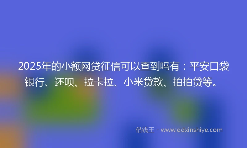 2025年的小额网贷征信可以查到吗有：平安口袋银行、还呗、拉卡拉、小米贷款、拍拍贷等。