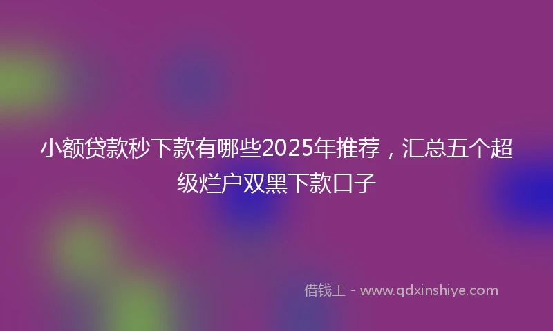 小额贷款秒下款有哪些2025年推荐，汇总五个超级烂户双黑下款口子