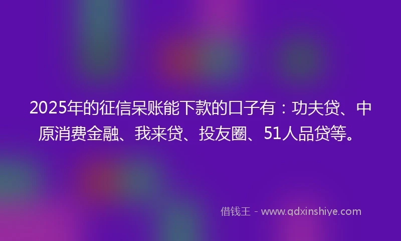2025年的征信呆账能下款的口子有：功夫贷、中原消费金融、我来贷、投友圈、51人品贷等。