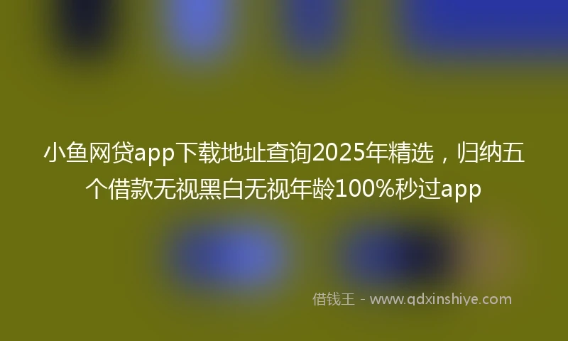 小鱼网贷app下载地址查询2025年精选，归纳五个借款无视黑白无视年龄100%秒过app