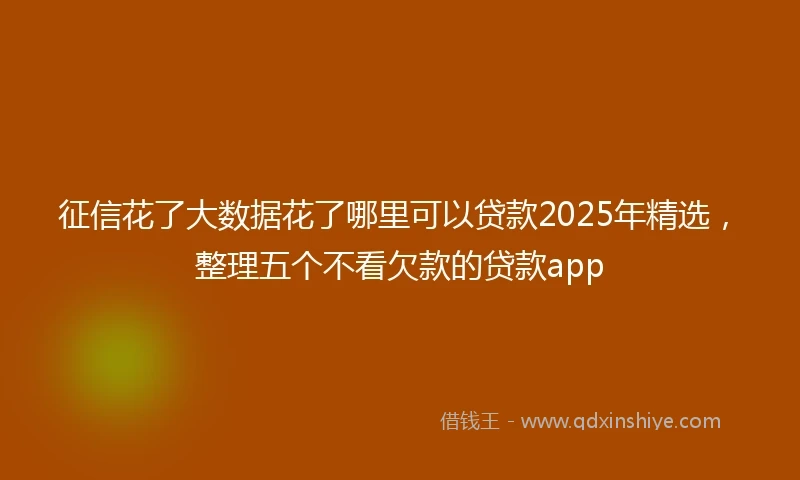 征信花了大数据花了哪里可以贷款2025年精选，整理五个不看欠款的贷款app