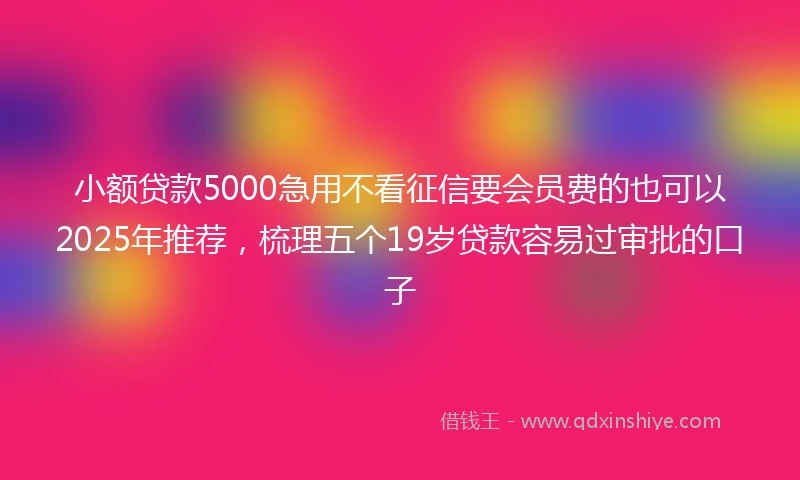 小额贷款5000急用不看征信要会员费的也可以2025年推荐，梳理五个19岁贷款容易过审批的口子
