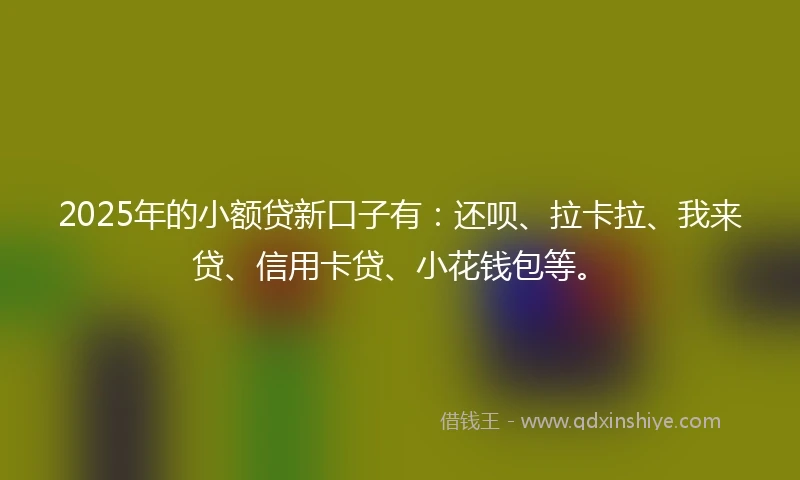 2025年的小额贷新口子有：还呗、拉卡拉、我来贷、信用卡贷、小花钱包等。