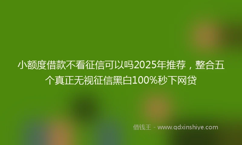 小额度借款不看征信可以吗2025年推荐，整合五个真正无视征信黑白100%秒下网贷