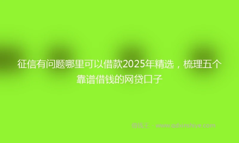 征信有问题哪里可以借款2025年精选，梳理五个靠谱借钱的网贷口子