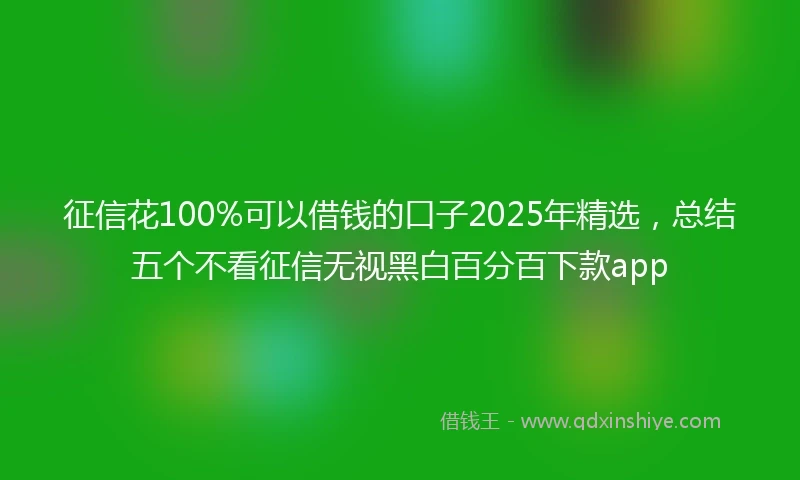 征信花100%可以借钱的口子2025年精选，总结五个不看征信无视黑白百分百下款app