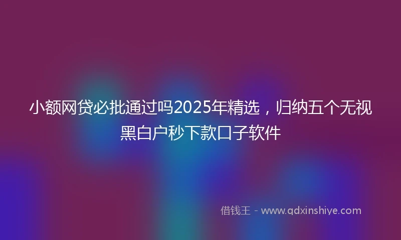 小额网贷必批通过吗2025年精选，归纳五个无视黑白户秒下款口子软件