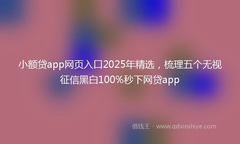 小额贷app网页入口2025年精选，梳理五个无视征信黑白100%秒下网贷app