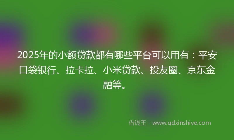 2025年的小额贷款都有哪些平台可以用有：平安口袋银行、拉卡拉、小米贷款、投友圈、京东金融等。