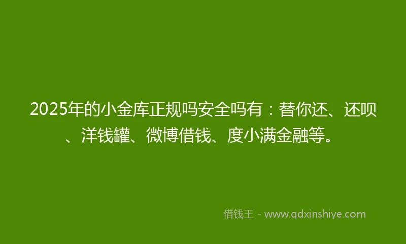 2025年的小金库正规吗安全吗有：替你还、还呗、洋钱罐、微博借钱、度小满金融等。