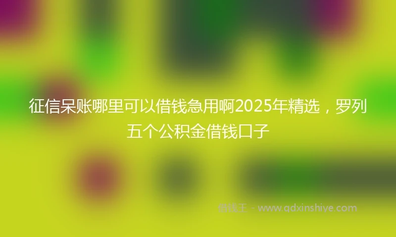 征信呆账哪里可以借钱急用啊2025年精选，罗列五个公积金借钱口子